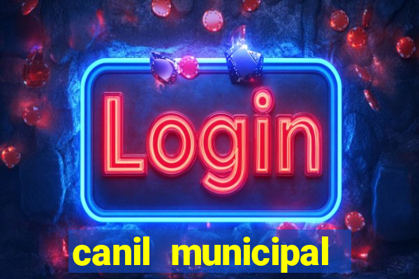 canil municipal porto alegre